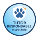 Tutor Responsable