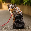 arnes_con_bolso_6212_1.webp
