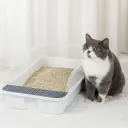 Arenero para gato