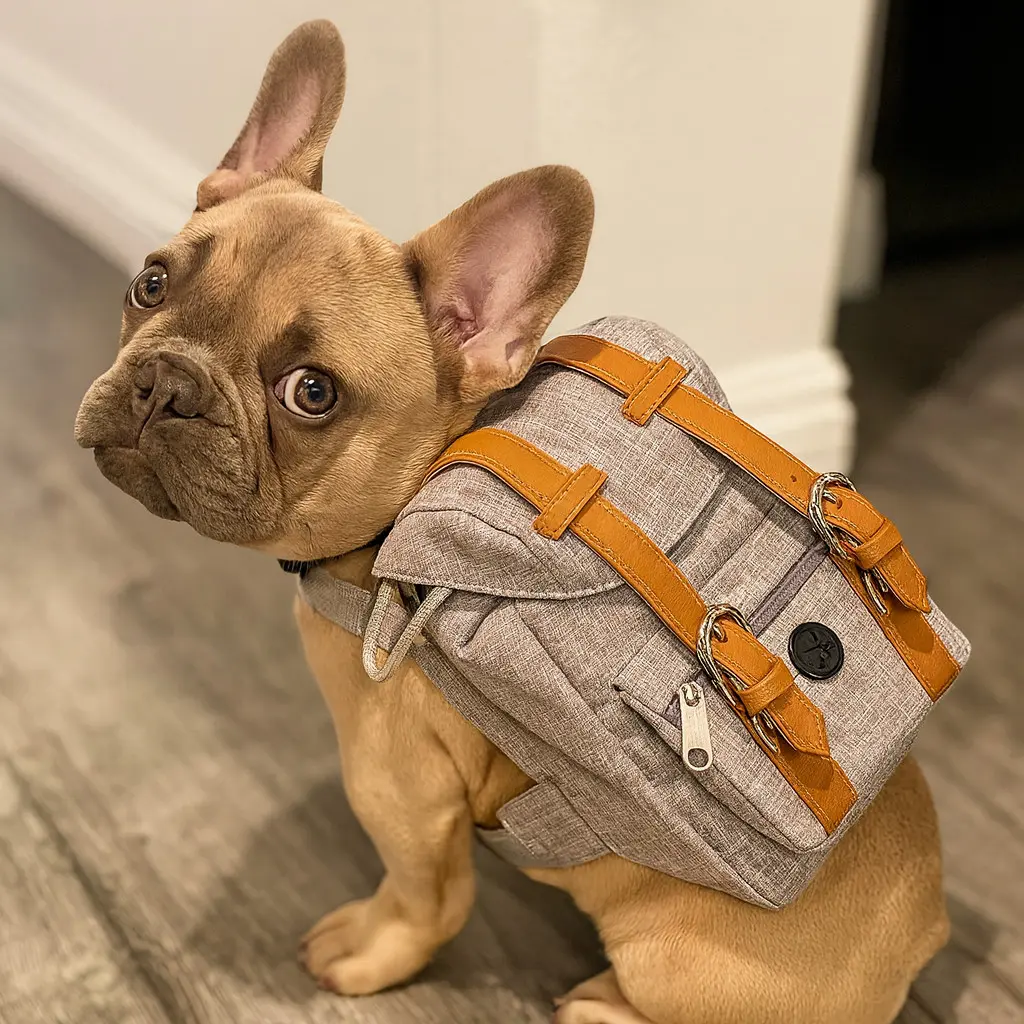 Arnés con bolso