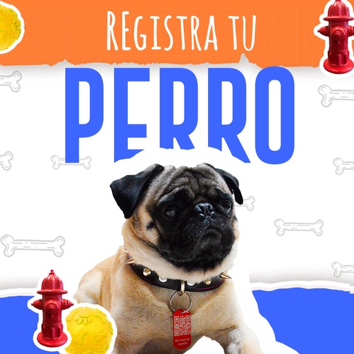 Placa de identificación para perro